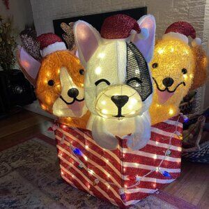 2.5-ft LED Dogs in Giftbox Decoration